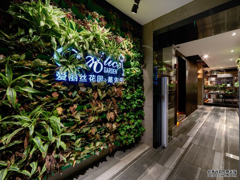 愛麗絲花園·蒸先生火鍋餐廳裝修設計風格